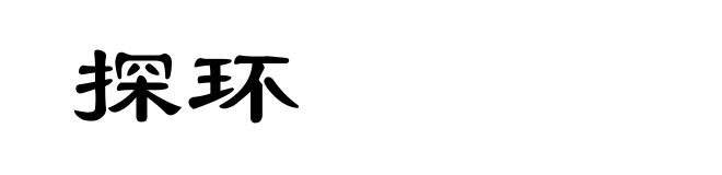 探环