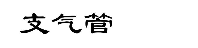 支气管