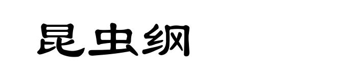 昆虫纲
