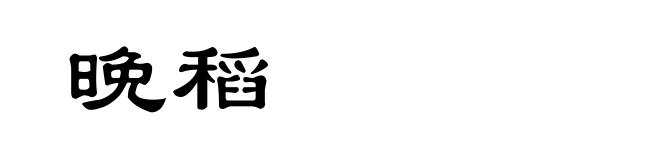 晚稻