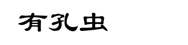 有孔虫