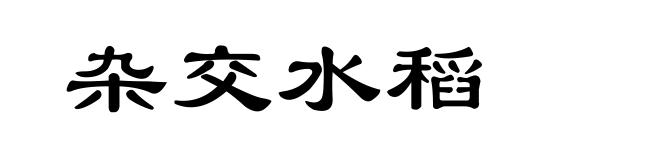 杂交水稻