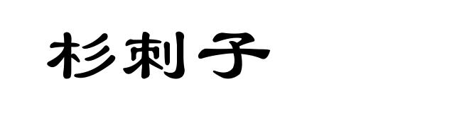杉刺子