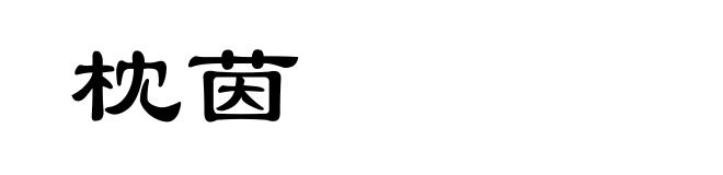 枕茵