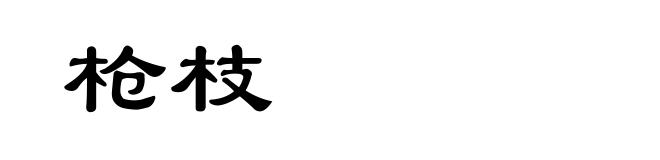 枪枝