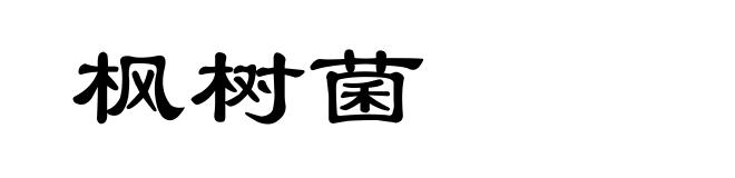 枫树菌