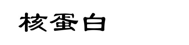 核蛋白
