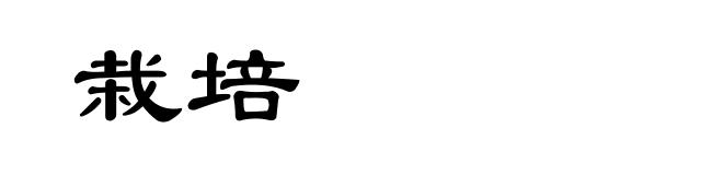 栽培