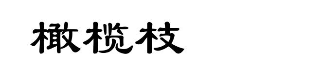 橄榄枝