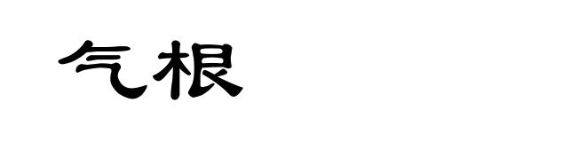 气根