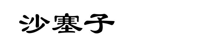沙塞子