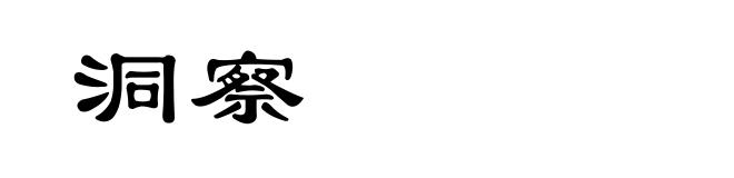 洞察