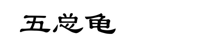 五总龟
