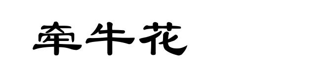 牵牛花