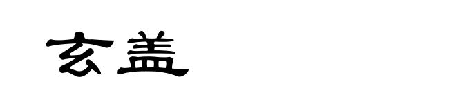 玄盖