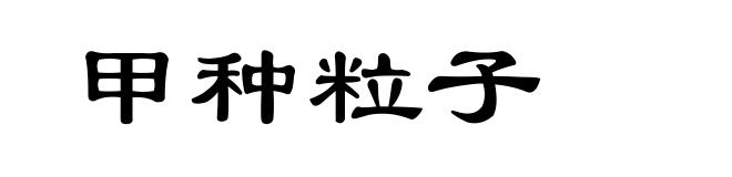 甲种粒子