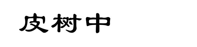 皮树中