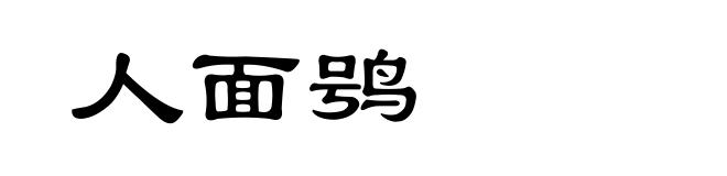 人面鸮