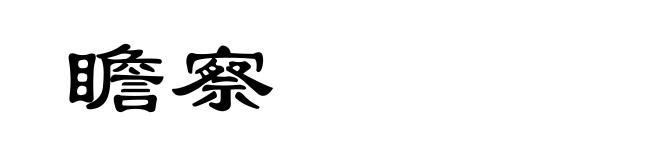 瞻察