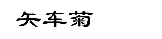 矢车菊