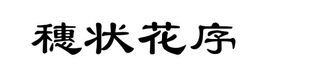 穗状花序