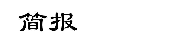 简报