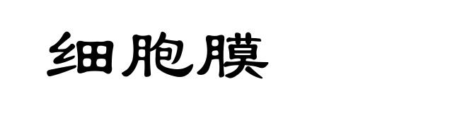 细胞膜