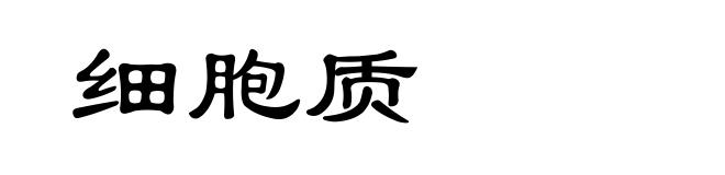 细胞质