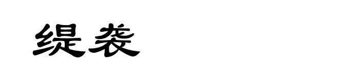 缇袭