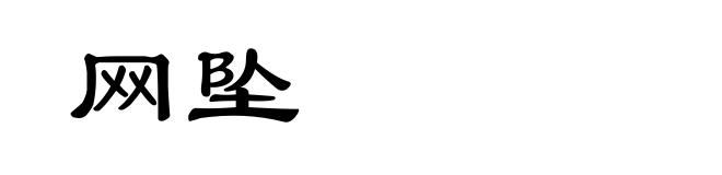 网坠