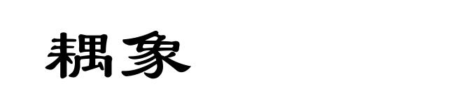 耦象