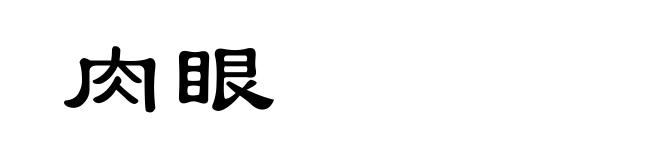 肉眼