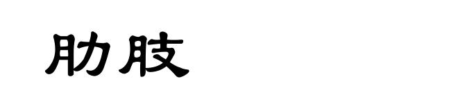 肋肢
