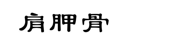 肩胛骨