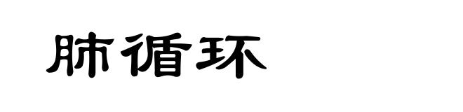 肺循环