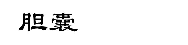 胆囊