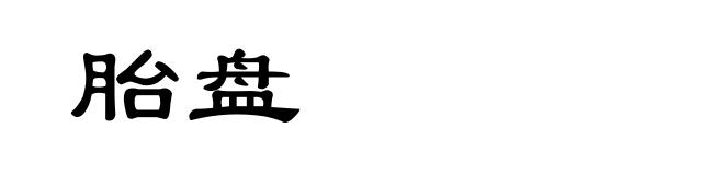 胎盘
