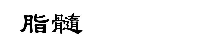 脂髓
