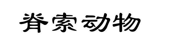 脊索动物