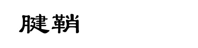 腱鞘