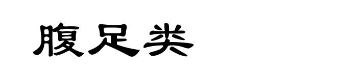 腹足类