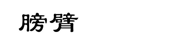 膀臂