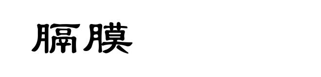 膈膜