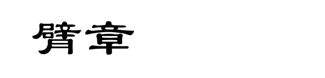 臂章