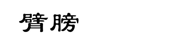 臂膀