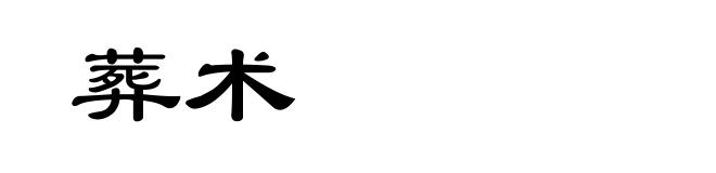 葬术