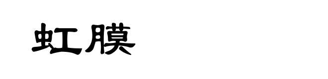 虹膜