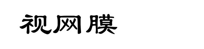 视网膜