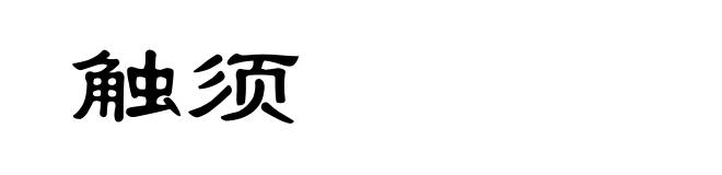 触须
