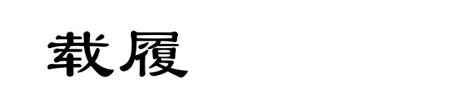 载履